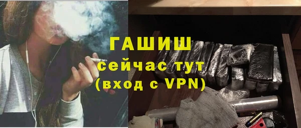 молекула духа Арсеньев