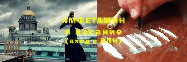 молекула духа Арсеньев