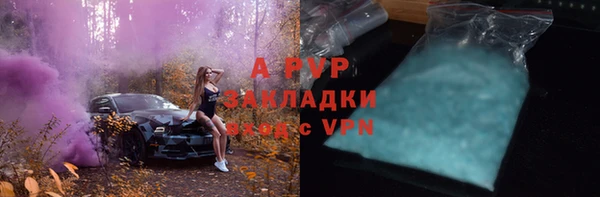 молекула духа Арсеньев