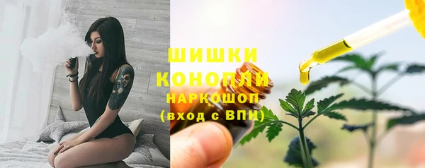 молекула духа Арсеньев