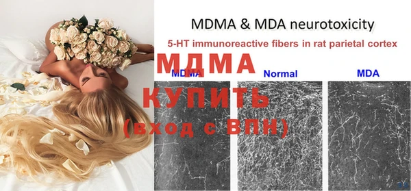молекула духа Арсеньев