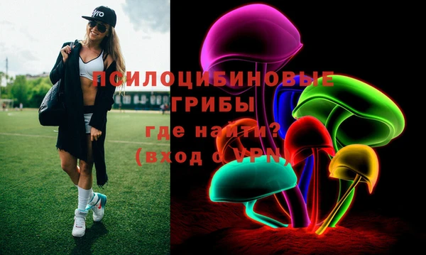 молекула духа Арсеньев