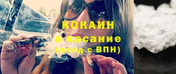 молекула духа Арсеньев