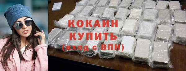 молекула духа Арсеньев