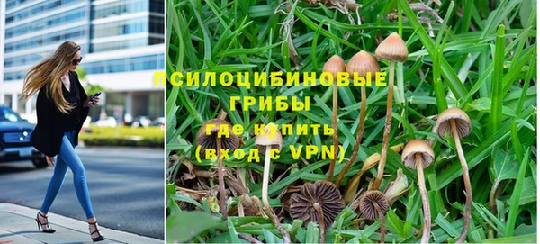 молекула духа Арсеньев