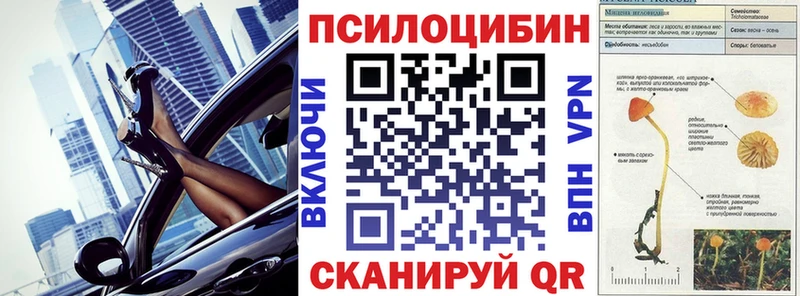 Галлюциногенные грибы Cubensis  omg ССЫЛКА  Волхов 